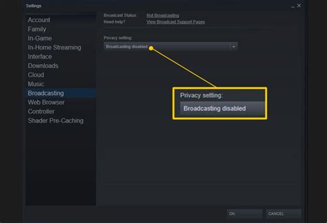 How do I stop Steam from broadcasting?