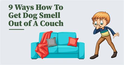 How do I stop my couch from smelling like dog?