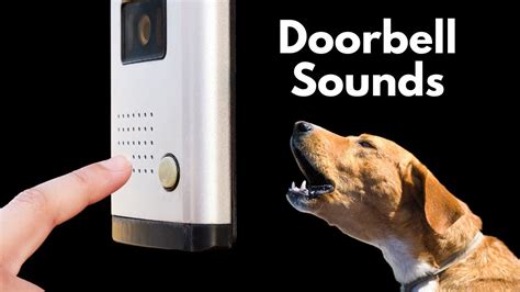 How do I stop my dog from reacting to the doorbell?