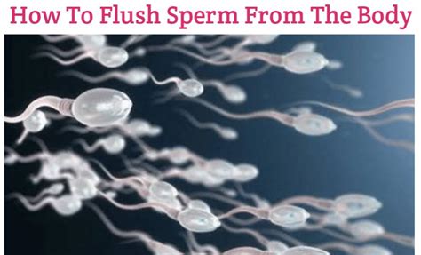 How do I stop quick release of sperm?