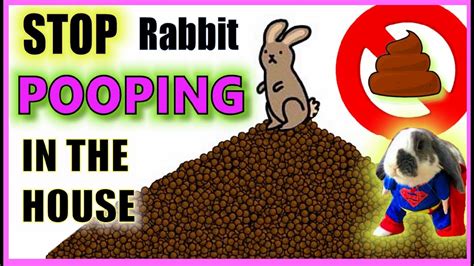 How do I stop rabbits from pooping in my garden?