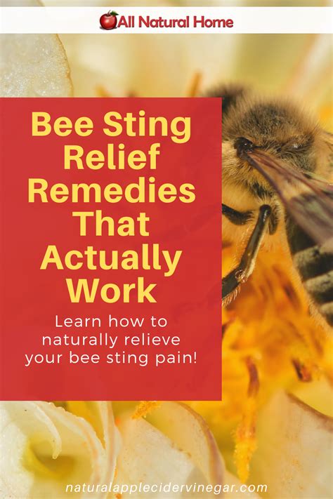 How do I stop the pain from a bee sting?