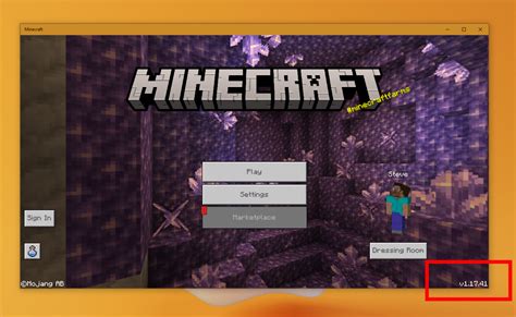 How do I tell which version of Minecraft I have?