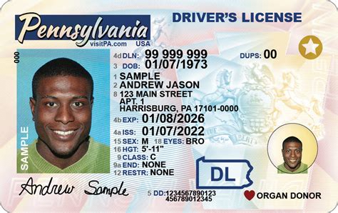 How do I track my drivers license in UP?