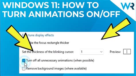 How do I turn off Animation effects in Windows 11?