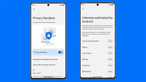 How do I turn on Privacy Sandbox?