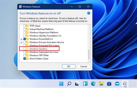 How do I use Sandboxie in Windows 11?