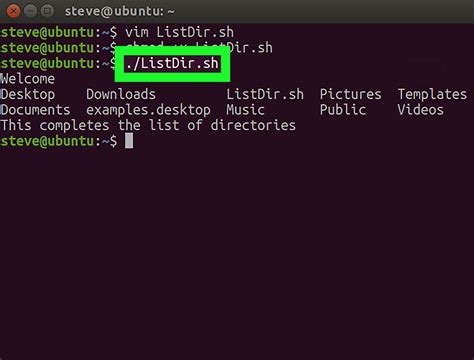 How do I view files in bash?