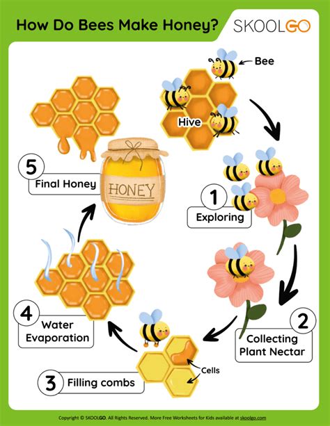 How do bees send signals?