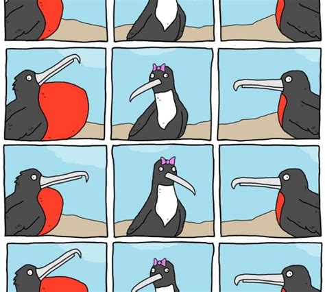 How do birds flirt?