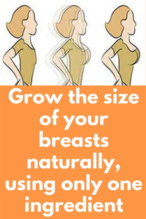 How do breasts grow?
