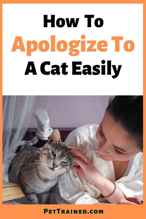 How do cats apologize?