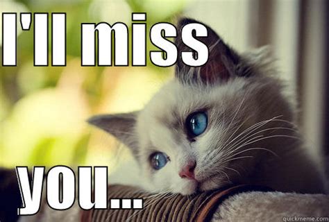 How do cats say I miss you?