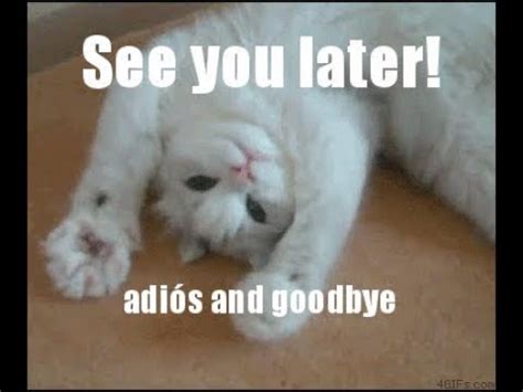 How do cats say goodbye?