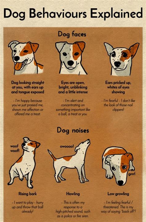 How do dogs act when they sense something bad?