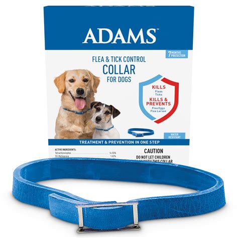How do dogs feel about collars?