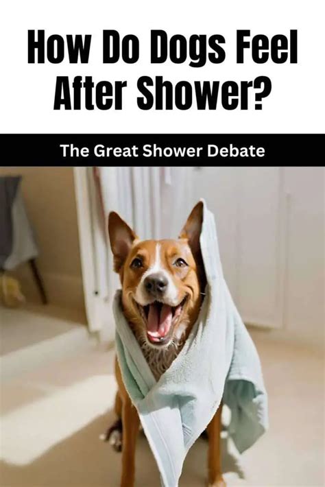 How do dogs feel after a bath?