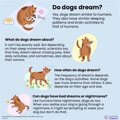 How do dogs have dreams?