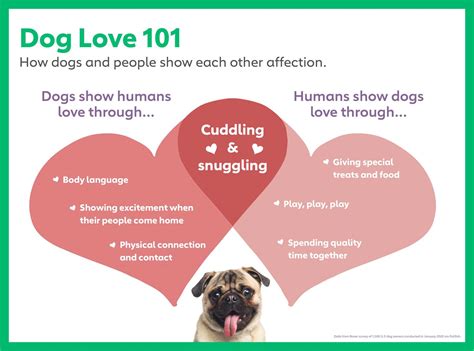 How do dogs show they love you?