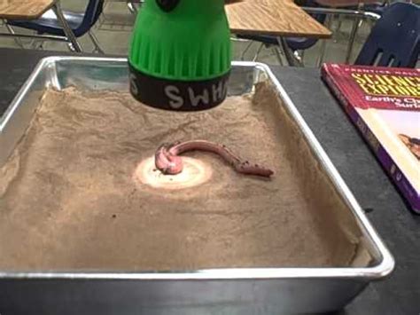 How do earthworms react to vinegar?