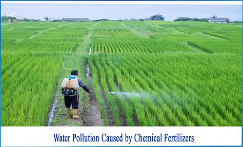 How do fertilizers cause soil pollution?