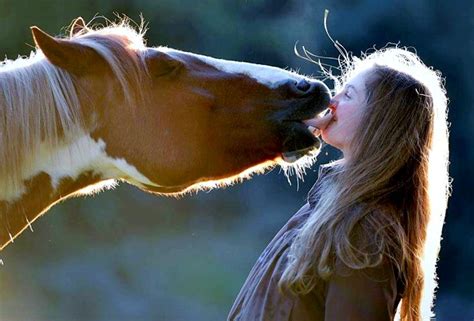 How do horses give kisses?