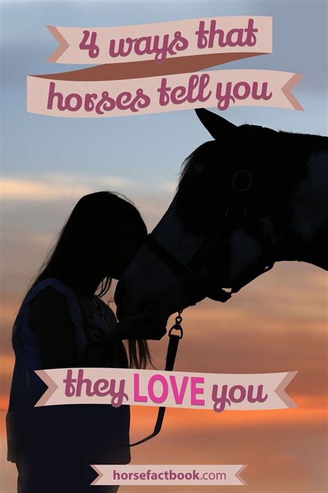 How do horses tell you they love you?