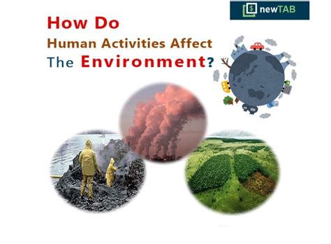 How do human actions affect the environment?