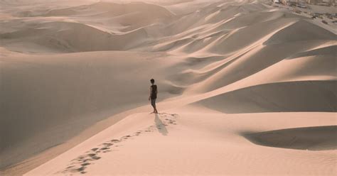 How do humans adapt to living in the Sahara Desert?