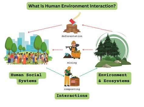 How do humans adapt to the environment?