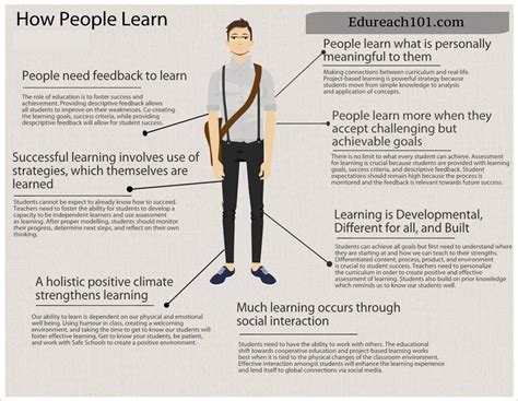 How do humans learn?