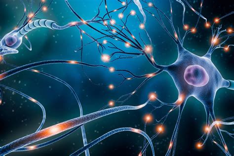 How do neurons create memory?
