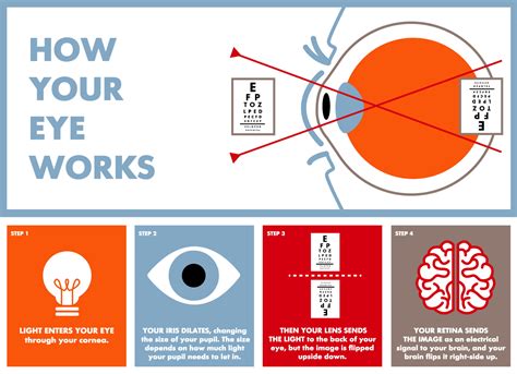 How do our eyes trick us?