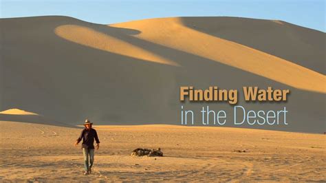 How do people in the desert find water?