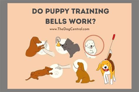 How do puppy training bells work?