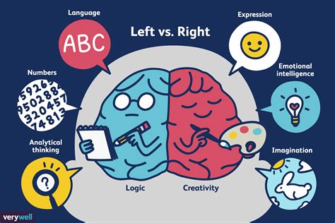 How do right and left-brain work together?