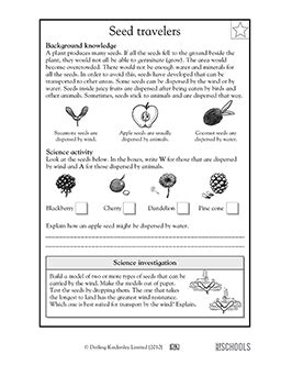 How do seeds work coding?