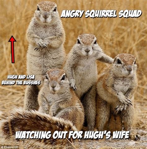 How do squirrels show anger?