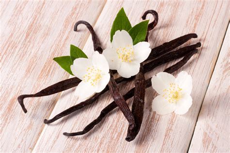 How do we get vanilla smell?