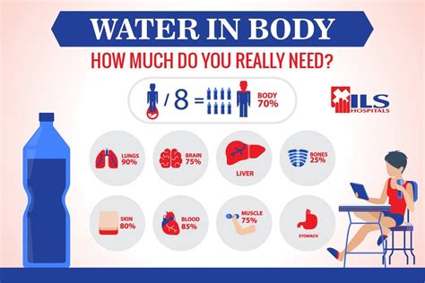 How do we know humans are 70% water?