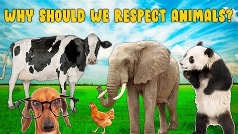 How do we respect animals?