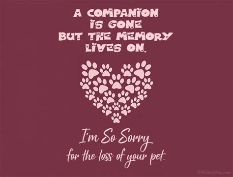 How do you accept the death of a pet?