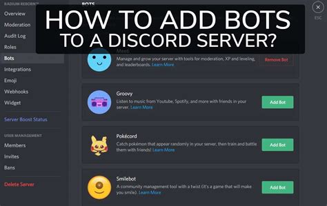 How do you add a character bot to Discord?