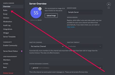 How do you add a level bot in Discord?