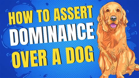 How do you assert dominance over a dog?