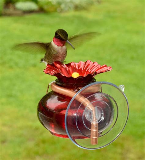 How do you attach a hummingbird feeder to a window?