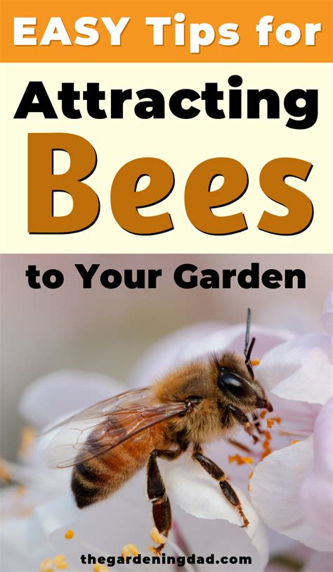 How do you attract bees naturally?