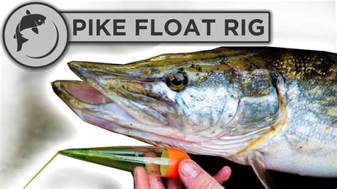 How do you attract pike?