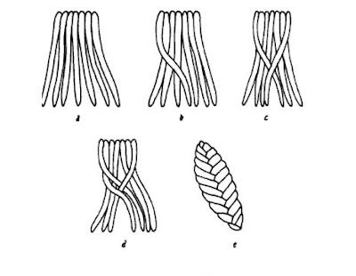How do you braid 7 strands?