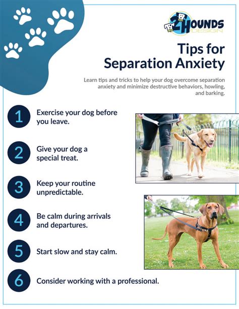 How do you break separation anxiety in dogs?